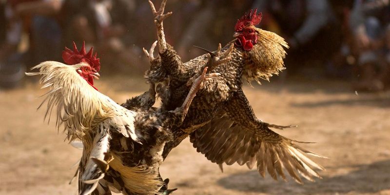 อัปเดตข้อมูลการแข่งขันแม่นยำ